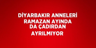 29258315032923531712tasarimli