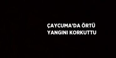 29261223072612620034