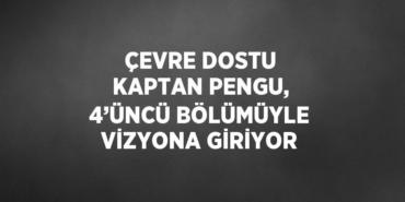 29262298782642827005tasarimli