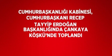 29267286112712720113tasarimli