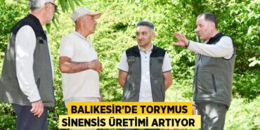 29269273192080430379tasarimli