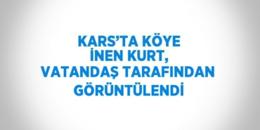 29272280572694628261tasarimli