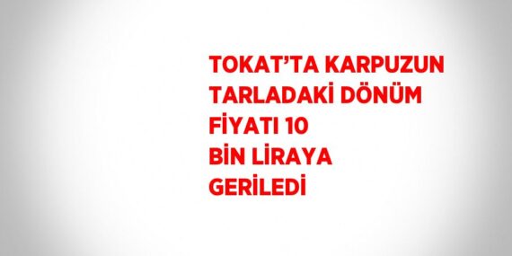 TOKAT’TA KARPUZUN TARLADAKİ DÖNÜM FİYATI 10 BİN LİRAYA GERİLEDİ