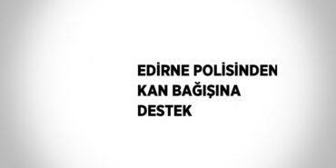 29274267503080731336