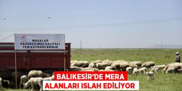 29277200822086029003tasarimli