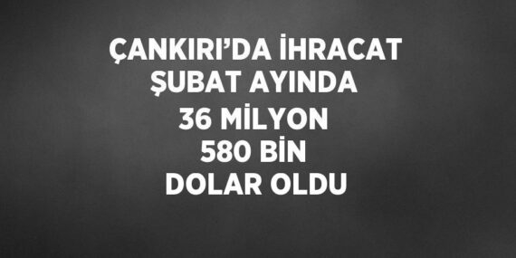 ÇANKIRI’DA İHRACAT ŞUBAT AYINDA 36 MİLYON 580 BİN DOLAR OLDU