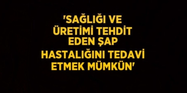 29282287532700327144tasarimli