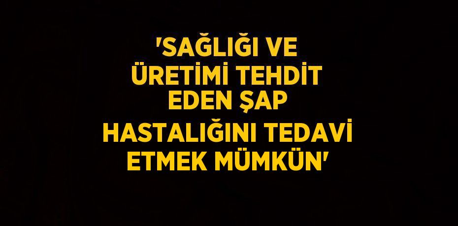 29282287532700327144tasarimli