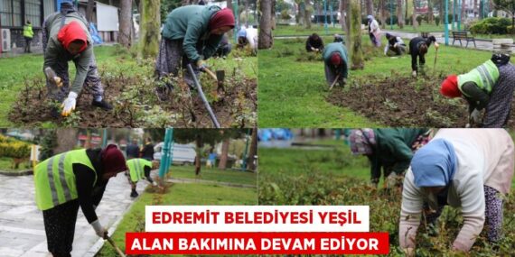 EDREMİT BELEDİYESİ YEŞİL ALAN BAKIMINA DEVAM EDİYOR