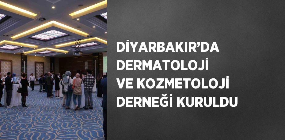 29288242772326127535