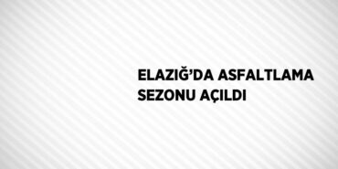 29298273222578326308