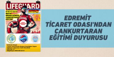 29299254102255424681