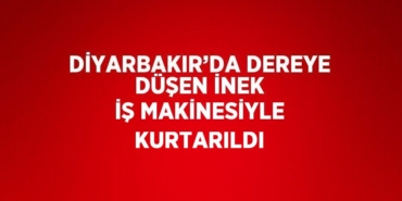 29300284382213525356tasarimli