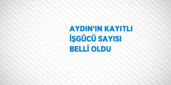 AYDIN’IN KAYITLI İŞGÜCÜ SAYISI BELLİ OLDU