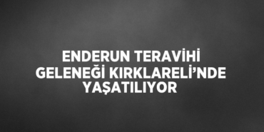 29302254912539721533tasarimli