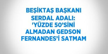 29304233232224331113tasarimli