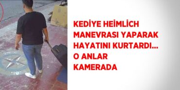 29305258152343027967