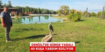 29306227892484822793tasarimli