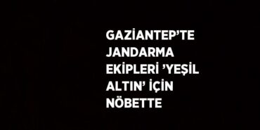 29307259022063928752
