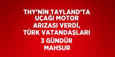 29308236752511325608tasarimli