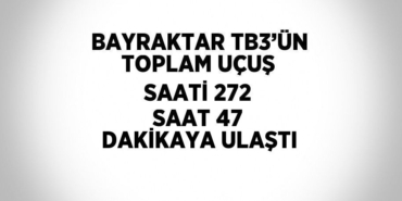 29309307042803528256tasarimli