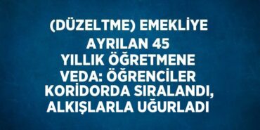 29317226192930128638tasarimli