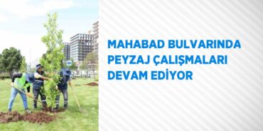 29317248162927522594