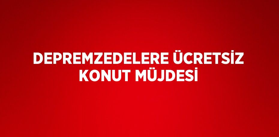 29317268752903029809tasarimli