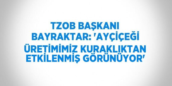 TZOB BAŞKANI BAYRAKTAR: ‘AYÇİÇEĞİ ÜRETİMİMİZ KURAKLIKTAN ETKİLENMİŞ GÖRÜNÜYOR’