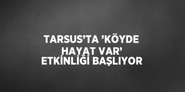 29328260062008722889tasarimli