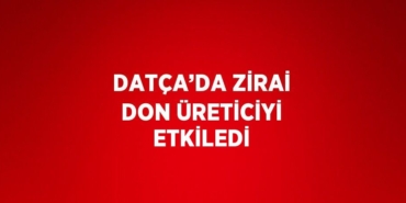 29332259932315920947tasarimli