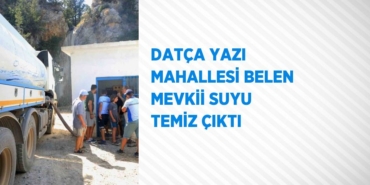 29333257942733323584