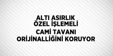 29333284072431028844tasarimli