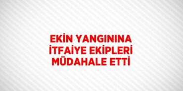 29339206853139826545tasarimli