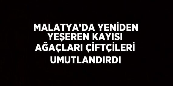 MALATYA’DA YENİDEN YEŞEREN KAYISI AĞAÇLARI ÇİFTÇİLERİ UMUTLANDIRDI