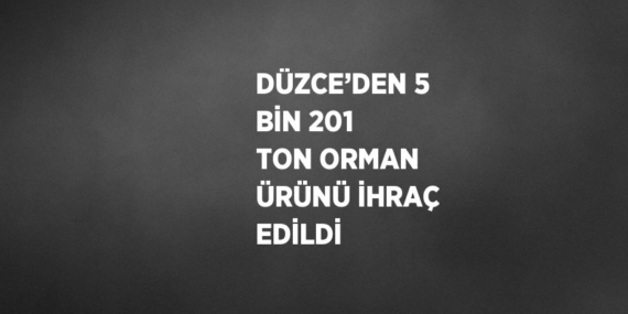 DÜZCE’DEN 5 BİN 201 TON ORMAN ÜRÜNÜ İHRAÇ EDİLDİ