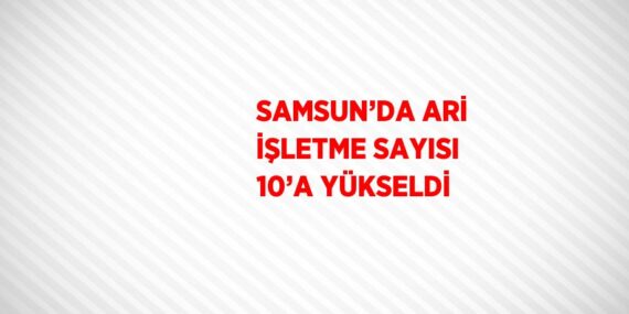 SAMSUN’DA ARİ İŞLETME SAYISI 10’A YÜKSELDİ
