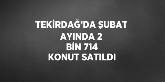 TEKİRDAĞ’DA ŞUBAT AYINDA 2 BİN 714 KONUT SATILDI