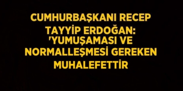 29360211212391320525tasarimli