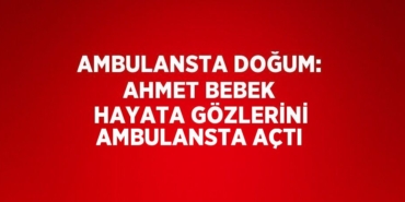 29365231612898126238tasarimli