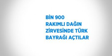 29366206012945025381