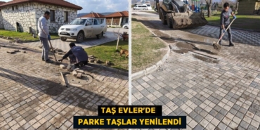 29369210282342825543tasarimli