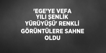 29371291192317523862tasarimli