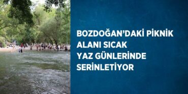 29374293272335328819