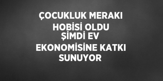 ÇOCUKLUK MERAKI HOBİSİ OLDU ŞİMDİ EV EKONOMİSİNE KATKI SUNUYOR