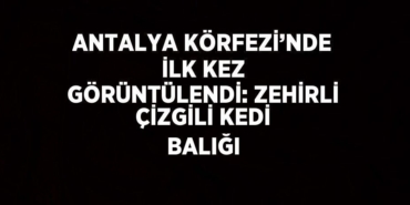 29379269312075125581tasarimli