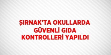 29380244462069620077tasarimli