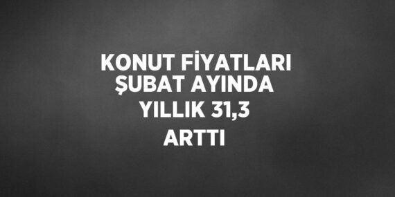 KONUT FİYATLARI ŞUBAT AYINDA YILLIK 31,3 ARTTI