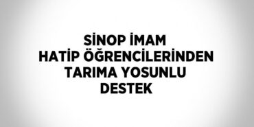 29385250832397430685tasarimli