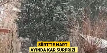 29387289082967529591tasarimli